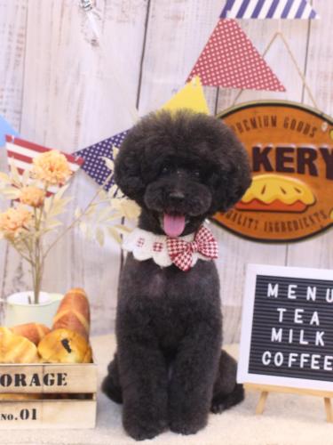 20240928ラブくん